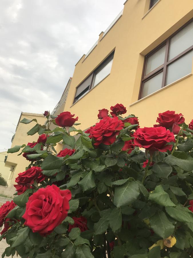 Apartman Mig Solin Exterior photo